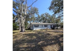 1021 FAIRBURN AVENUE, CLEARWATER, FL 33755 - MLS#MFRO6382876