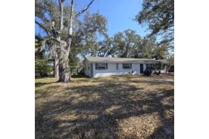 1021 FAIRBURN AVENUE, CLEARWATER, FL 33755 - MLS#MFRO6382876