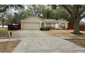 204 LACE BARK COURT, MINNEOLA, FL 34715 - MLS#MFRO6382915