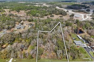 16145 OLD CHENEY HIGHWAY, ORLANDO, FL 32833 - MLS#MFRO6382953