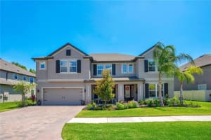 19335 EAGLE CREEK LANE, TAMPA, FL 33647 - MLS#MFRO6382974