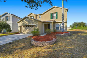 11155 GOLDEN SILENCE DRIVE, RIVERVIEW, FL 33579 - MLS#MFRO6383204