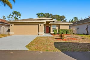 8050 CHADWICK DRIVE, NEW PORT RICHEY, FL 34654 - MLS#MFRO6383243