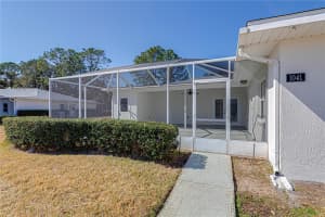 1041 WILLOW DRIVE, LEESBURG, FL 34748 - MLS#MFRO6383262