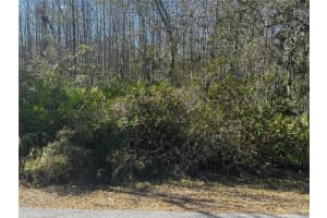 1228 MURDOCK BOULEVARD, ORLANDO, FL 32825 - MLS#MFRO6383326