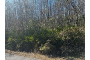 1228 MURDOCK BOULEVARD, ORLANDO, FL 32825 - MLS#MFRO6383326