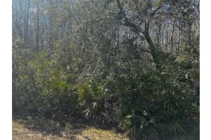 1228 MURDOCK BOULEVARD, ORLANDO, FL 32825 - MLS#MFRO6383326