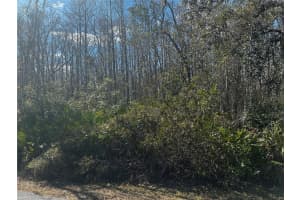 1228 MURDOCK BOULEVARD, ORLANDO, FL 32825 - MLS#MFRO6383326