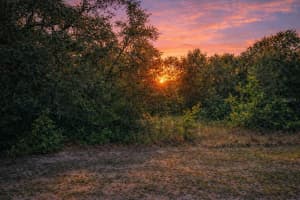 4375 194TH AVENUE, DUNNELLON, FL 34432 - MLS#MFRO6383335