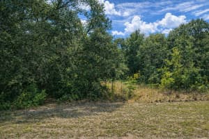 4375 194TH AVENUE, DUNNELLON, FL 34432 - MLS#MFRO6383335