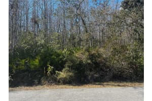 1214 MURDOCK BOULEVARD, ORLANDO, FL 32825 - MLS#MFRO6383336