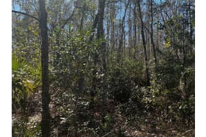 1214 MURDOCK BOULEVARD, ORLANDO, FL 32825 - MLS#MFRO6383336