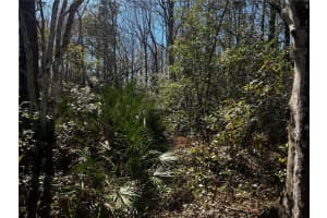 1214 MURDOCK BOULEVARD, ORLANDO, FL 32825 - MLS#MFRO6383336