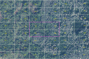 DILL RD, ORLANDO, FL 32820 - MLS#MFRO6383545