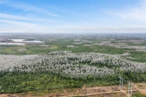 DILL RD, ORLANDO, FL 32820 - MLS#MFRO6383545