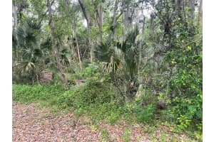 242 FRASER ROAD, DEBARY, FL 32713 - MLS#MFRO6383547