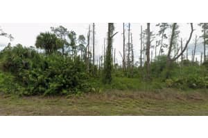3703 9TH STREET, LEHIGH ACRES, FL 33972 - MLS#MFRO6383707