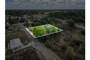 113 WALKER AVENUE, LAKE PLACID, FL 33852 - MLS#MFRO6383780