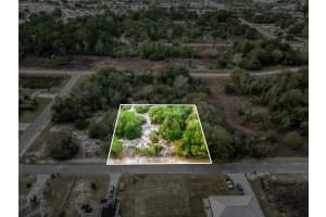 113 WALKER AVENUE, LAKE PLACID, FL 33852 - MLS#MFRO6383780