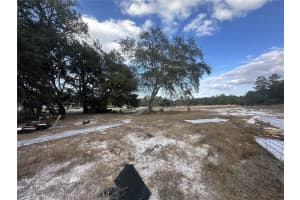 42833 COOTER POND RD, DELAND, FL 32720 - MLS#MFRO6383781