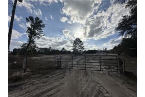 42833 COOTER POND RD, DELAND, FL 32720 - MLS#MFRO6383781