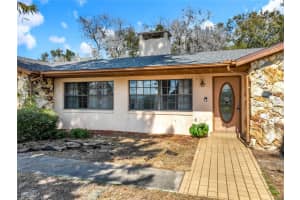 1029 MICHELLE COURT, TAVARES, FL 32778 - MLS#MFRO6383819