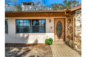 1029 MICHELLE COURT, TAVARES, FL 32778 - MLS#MFRO6383819