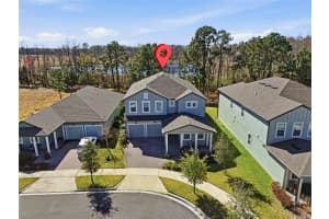 17222 DANCY ORANGE COURT, WINTER GARDEN, FL 34787 - MLS#MFRO6383910