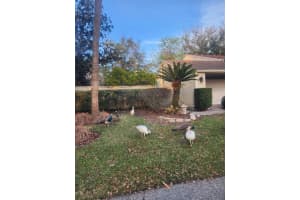 104 Juniper Ln, LONGWOOD 104 Juniper Ln, LONGWOOD