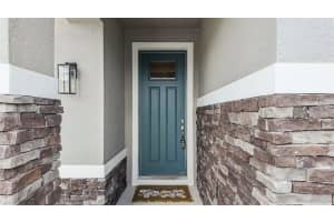 303 BUCHANNAN DRIVE, DAVENPORT, FL 33837 - MLS#MFRO6384072