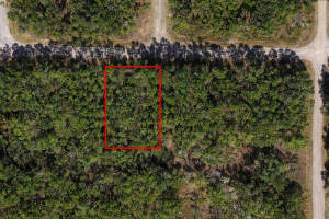 60 FALCON STREET, DUNNELLON, FL 34434 - MLS#MFRO6384123