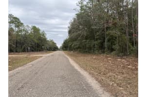 60 FALCON STREET, DUNNELLON, FL 34434 - MLS#MFRO6384123