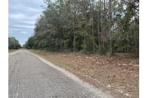 60 FALCON STREET, DUNNELLON, FL 34434 - MLS#MFRO6384123