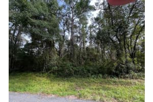 552 CALDWELL DRIVE, DUNNELLON, FL 34434 - MLS#MFRO6384149