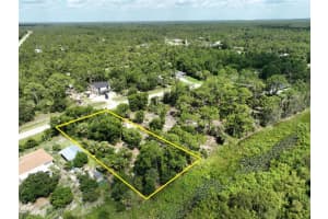 12295 GREEN GULF BOULEVARD, PUNTA GORDA, FL 33955 - MLS#MFRO6384157