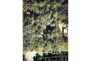 101 PINEY WOODS ROAD, APOPKA, FL 32703 - MLS#MFRO6384178