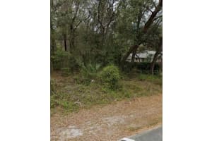101 PINEY WOODS ROAD, APOPKA, FL 32703 - MLS#MFRO6384178