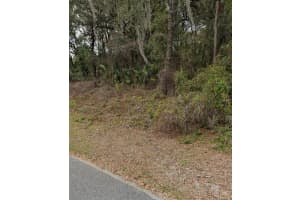 101 PINEY WOODS ROAD, APOPKA, FL 32703 - MLS#MFRO6384178