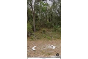 101 PINEY WOODS ROAD, APOPKA, FL 32703 - MLS#MFRO6384178