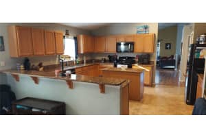 1124 BLUEGRASS DRIVE, GROVELAND, FL 34736 - MLS#MFRO6384215