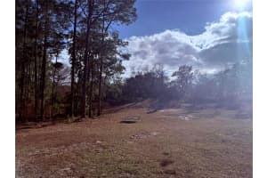 900 RACOON TRAIL, FROSTPROOF, FL 33843 - MLS#MFRO6384265