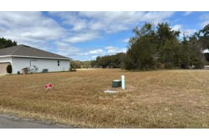 2231 MARSHFIELD PRESERVE WAY, KISSIMMEE, FL 34746 - MLS#MFRO6384307