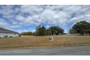 2231 MARSHFIELD PRESERVE WAY, KISSIMMEE, FL 34746 - MLS#MFRO6384307