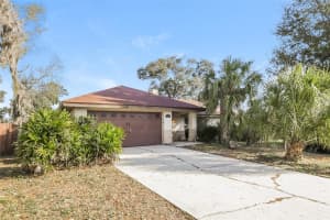 4416 PAWNEE PATH, VALRICO, FL 33594 - MLS#MFRO6384315