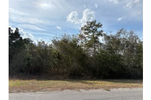 ODHAM ST, ORLANDO, FL 32833 - MLS#MFRO6384412