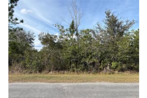 ODHAM ST, ORLANDO, FL 32833 - MLS#MFRO6384412