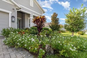 2392 SIRENA LANE, MOUNT DORA, FL 32757 - MLS#MFRO6384432