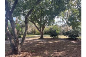 1740 WHIPPLE DRIVE, DELTONA, FL 32738 - MLS#MFRO6384468