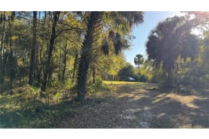 17221 Se 95th Street Rd, OCKLAWAHA