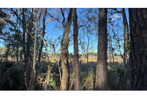 17221 95TH STREET ROAD, OCKLAWAHA, FL 32179 - MLS#MFRO6384490